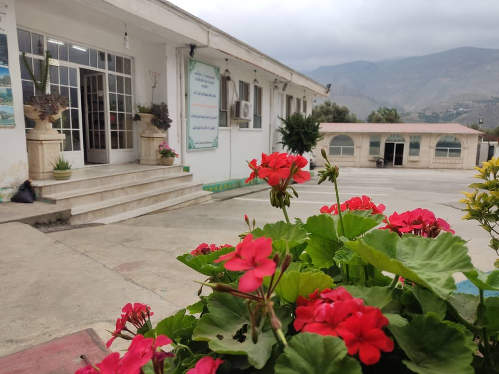 نمای ساختمان