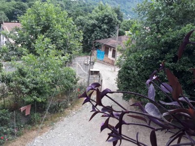 ویلا چوبی با ویو روستا و جنگل