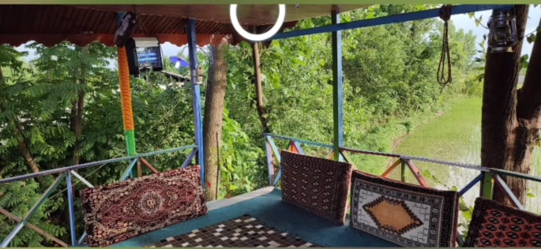 آلاچیق درختی آلاچیق درختی