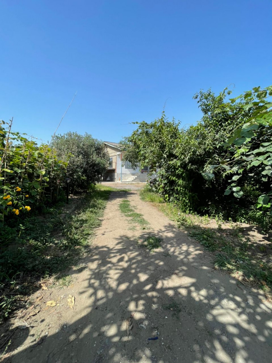 ورودی ورودی