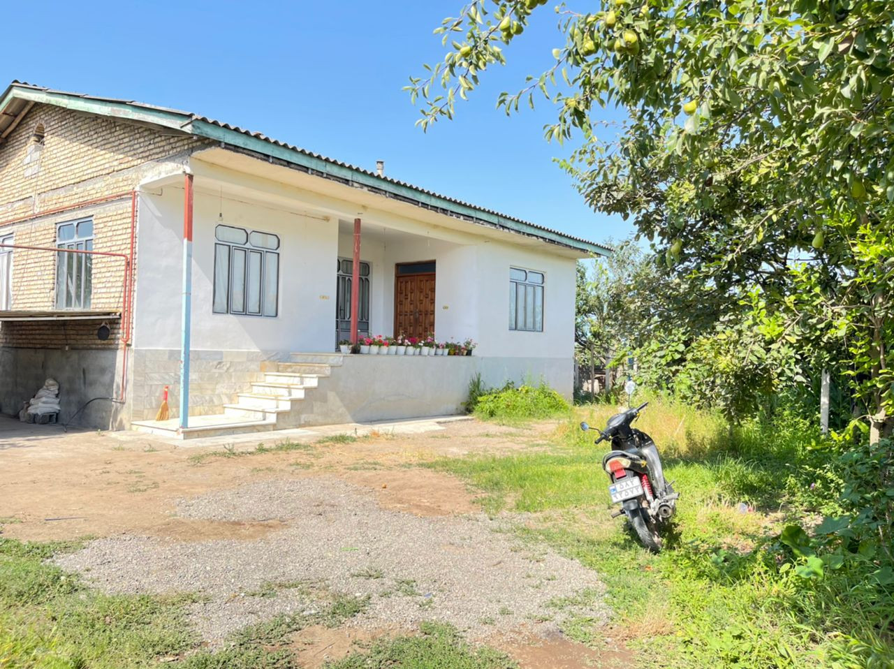 نمای ساختمان نمای ساختمان