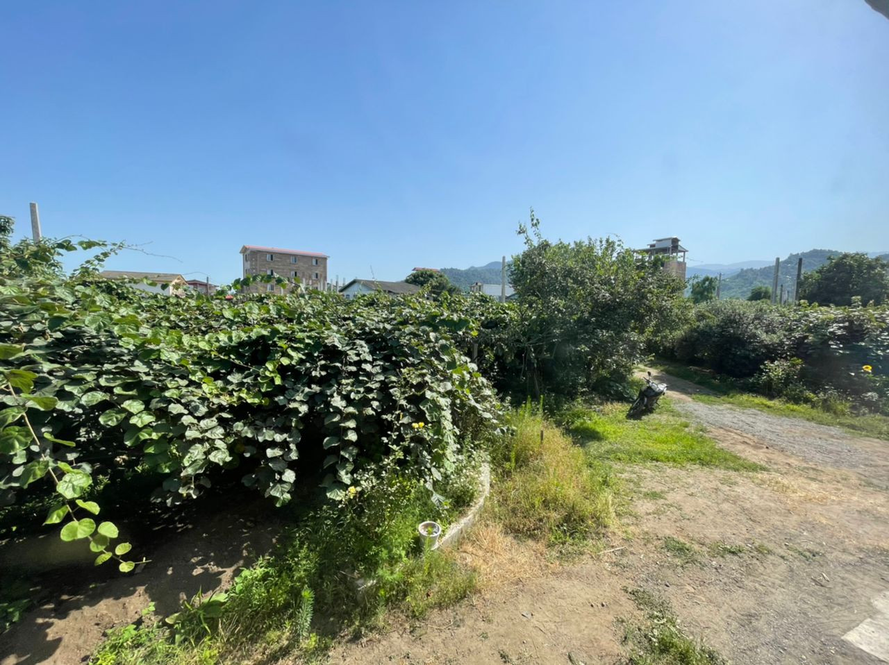 نمای حیاط نمای حیاط