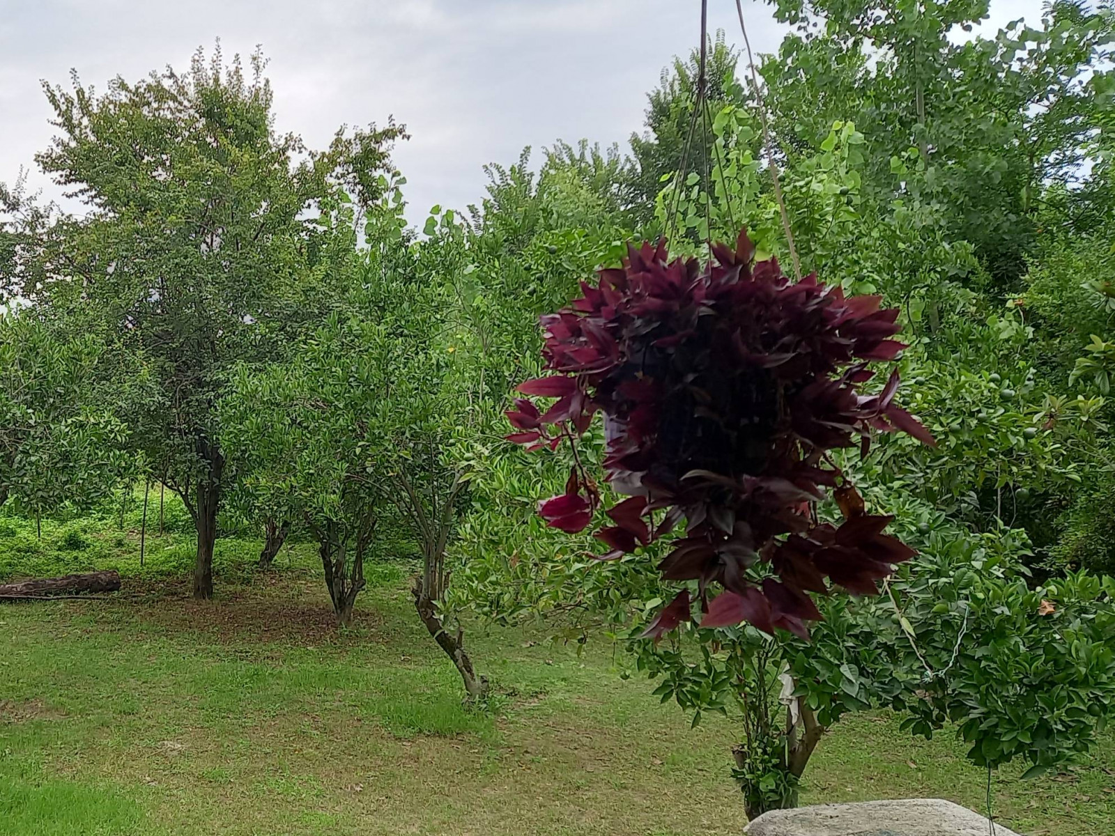 نمای بیرونی ساختمان