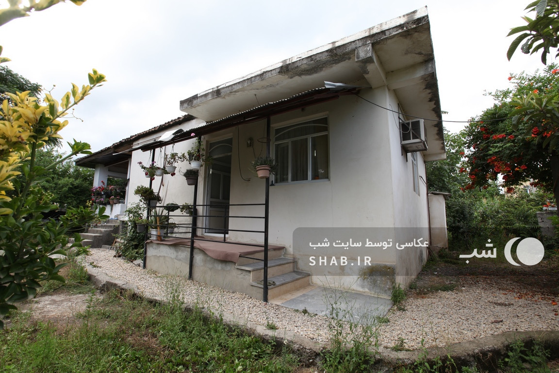 نمای کلی