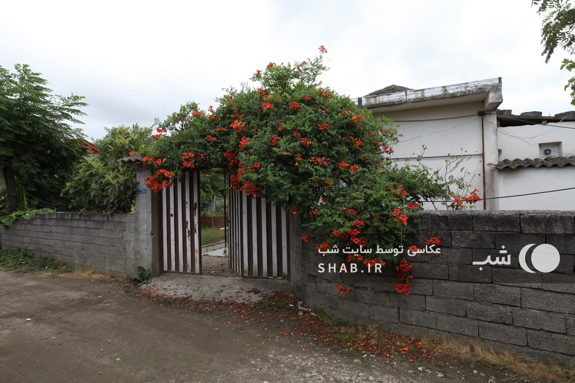 نمای خانه