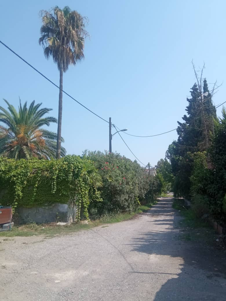 خیابان منتهی به ویلا