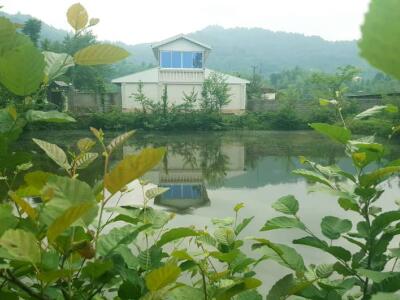 ویلا جنگلی، کوهستانی با ویویی دل‌نشین