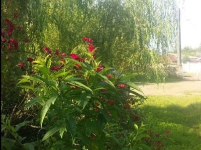 ویلای دوخوابه نزدیک ساحل در رضوانشهر