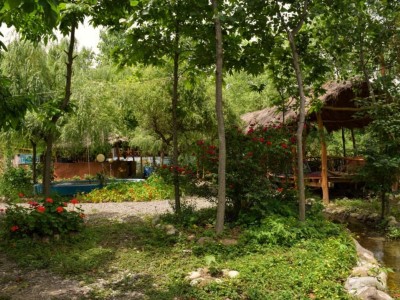 کلبه چوبی با چشمانداز جنگل و کوهستان - واحد 2 کلبه چوبی با چشمانداز جنگل و کوهستان - واحد 2