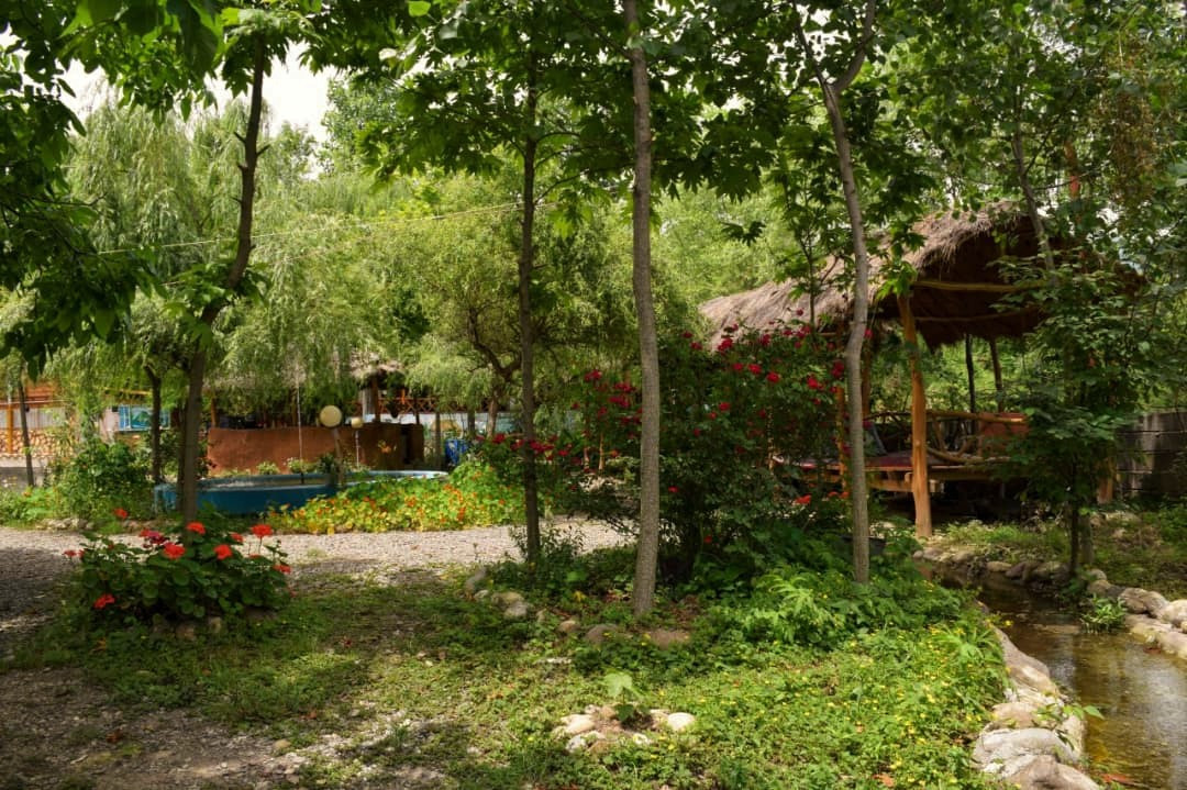 محوطه باغ محوطه باغ