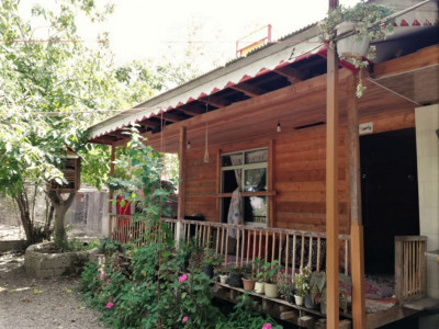 کلبه چوبی با چشمانداز جنگل و کوهستان - واحد 5 کلبه چوبی با چشمانداز جنگل و کوهستان - واحد 5