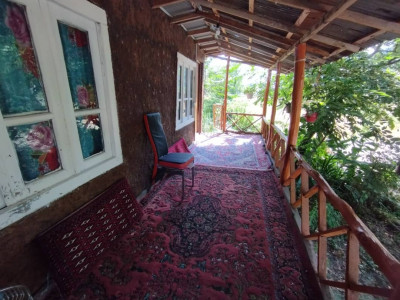 کلبه چوبی با چشمانداز جنگل و کوهستان - واحد 8 کلبه چوبی با چشمانداز جنگل و کوهستان - واحد 8