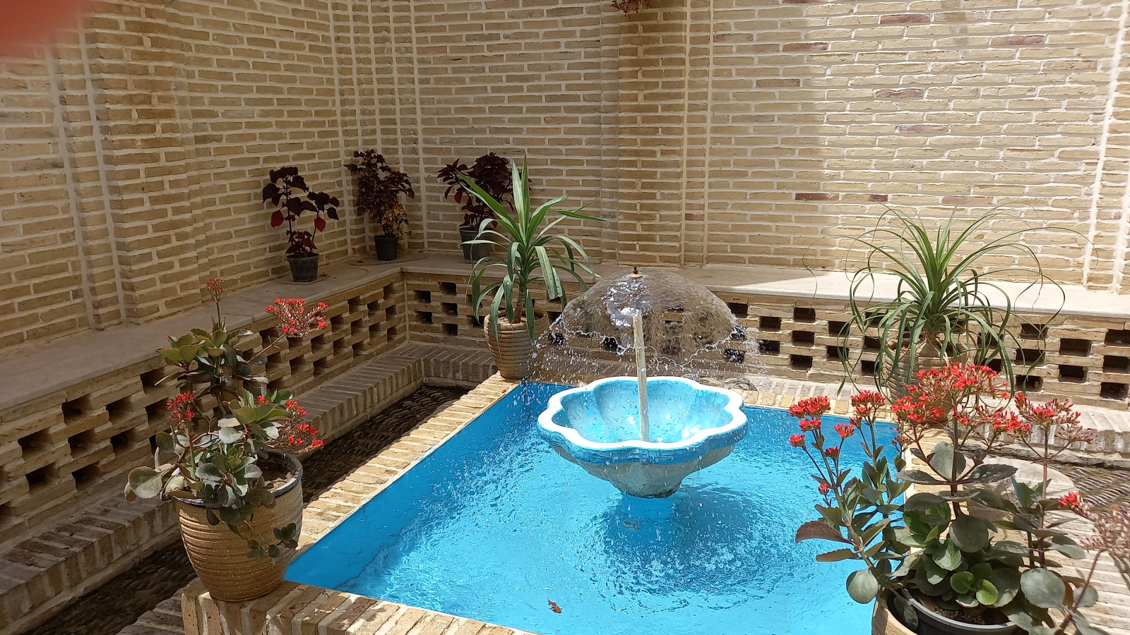 حیاط