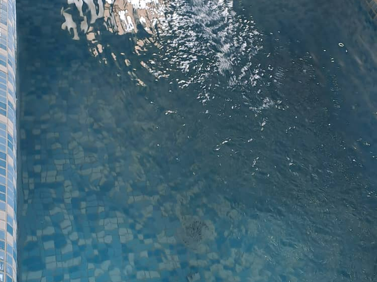 استخر استخر