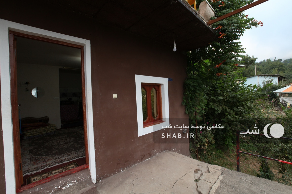 ورودی