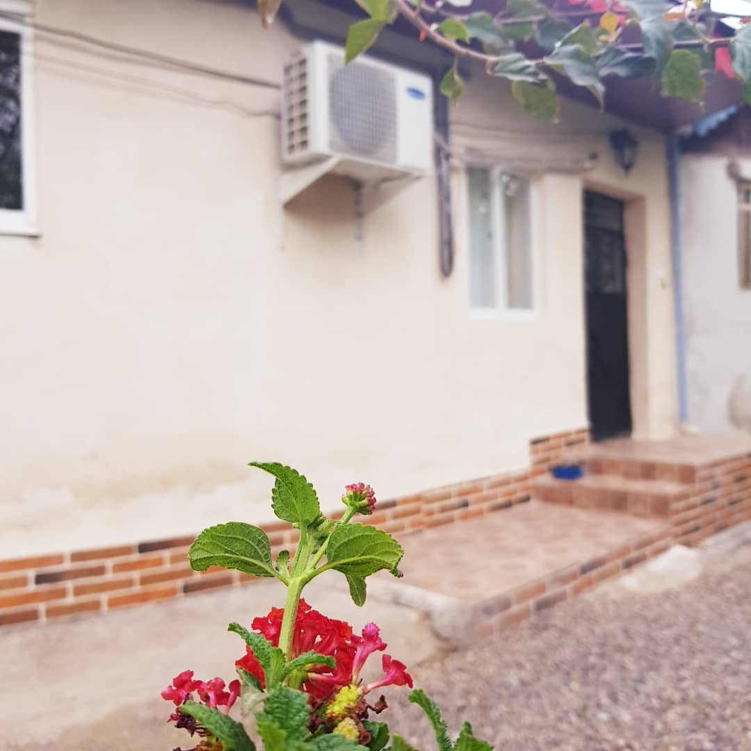نمای ساختمان