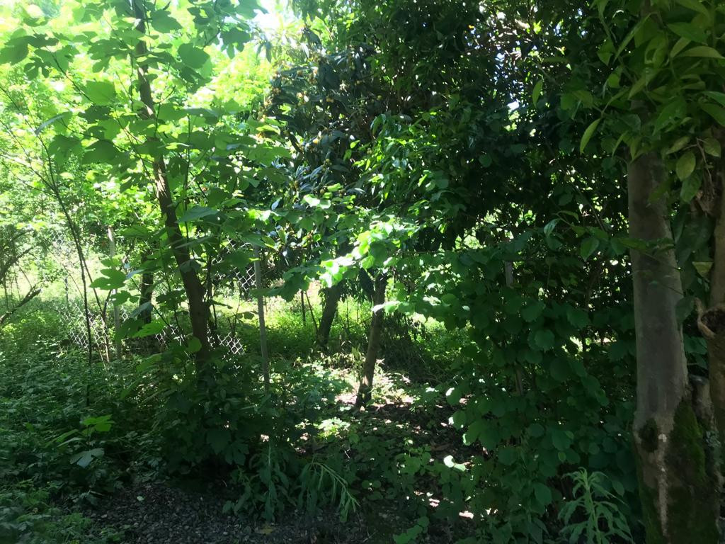 نمای بیرون خانه