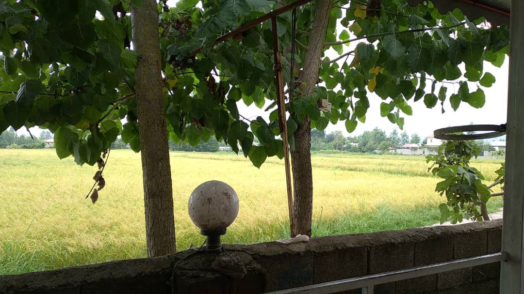 محیط اطراف اقامتگاه محیط اطراف اقامتگاه