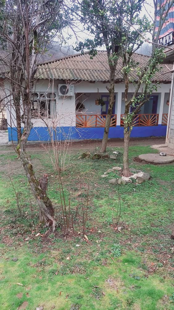 ورودی ورودی