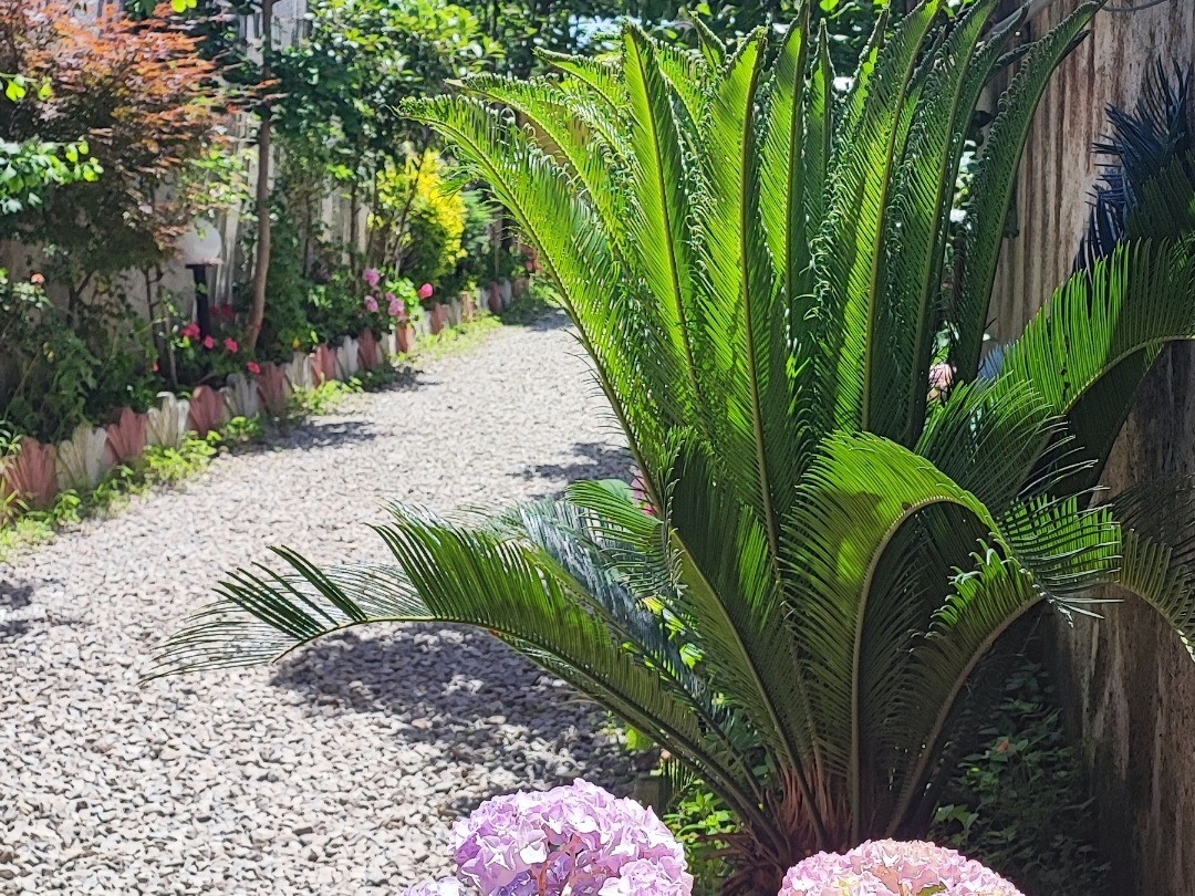 نمای بیرونی ساختمان نمای بیرونی ساختمان