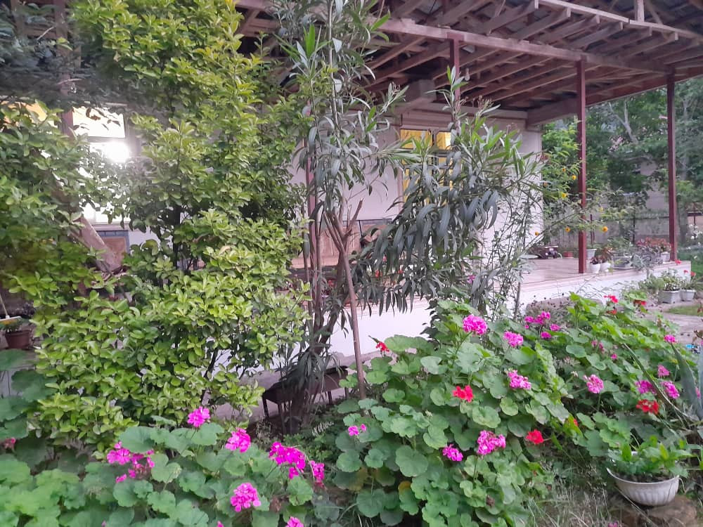 حیاط و تراس