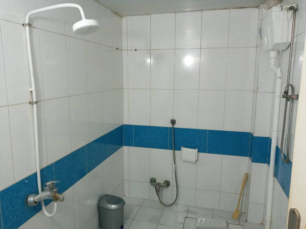 سرویس بهداشتی