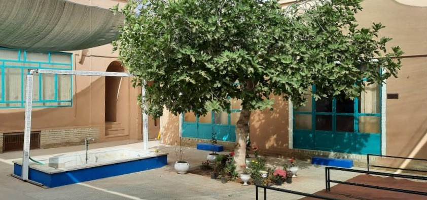 حیاط