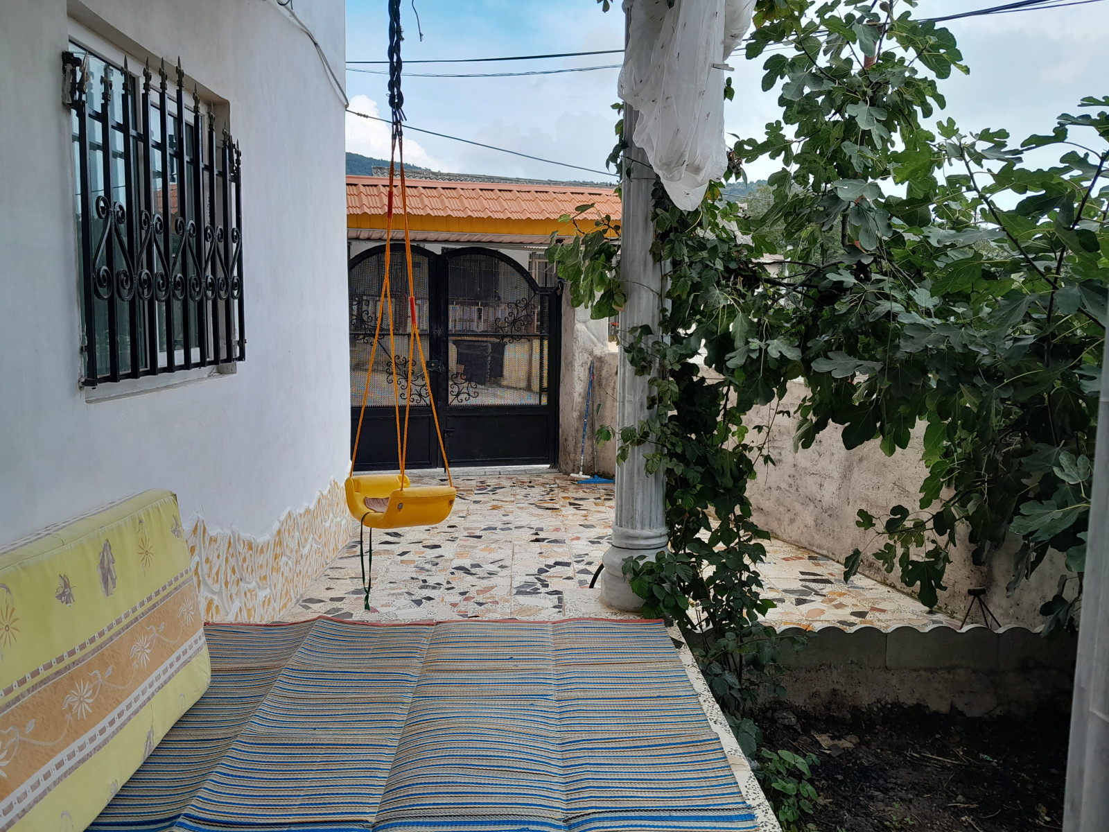 حیاط