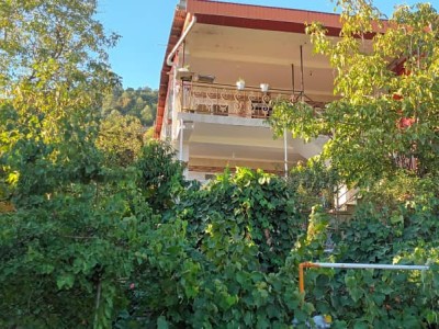 ویلای تک خواب جنگلی دنج ارغوان