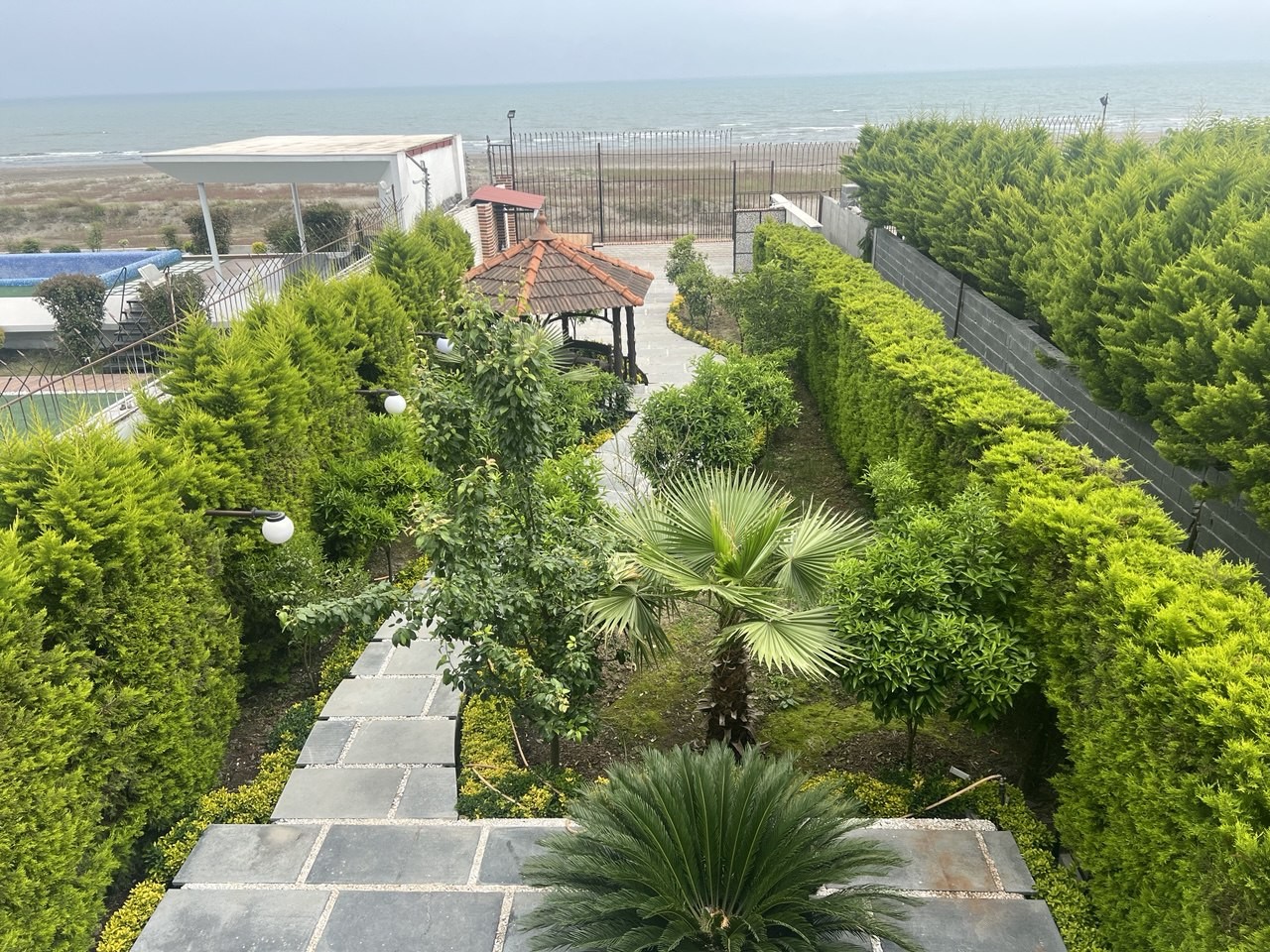 حیاط