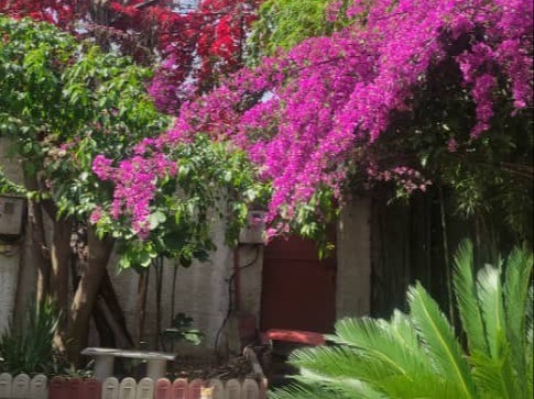 نمای بیرونی ساختمان