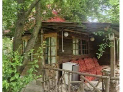 کلبه نقلی زنبق