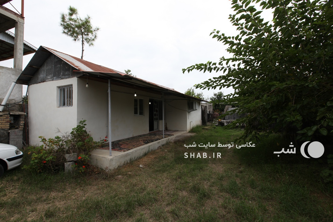 حیاط