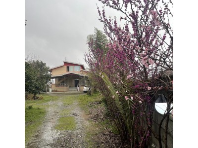 ویلا سنتی ساحلی زیبا با ویو حیاط درختان بهار نارنج، طبقه  دربست2