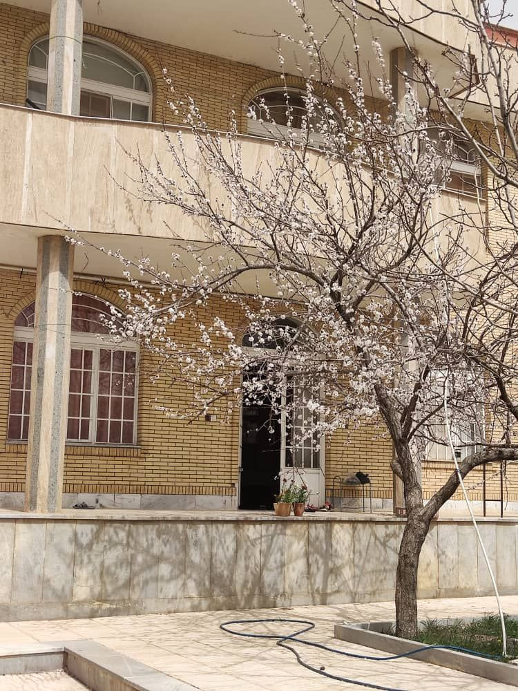 حیاط
