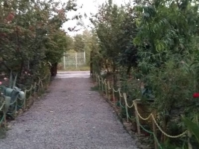 سوئیت باران سازه‌ای زیبا در کنار خانه سنتی