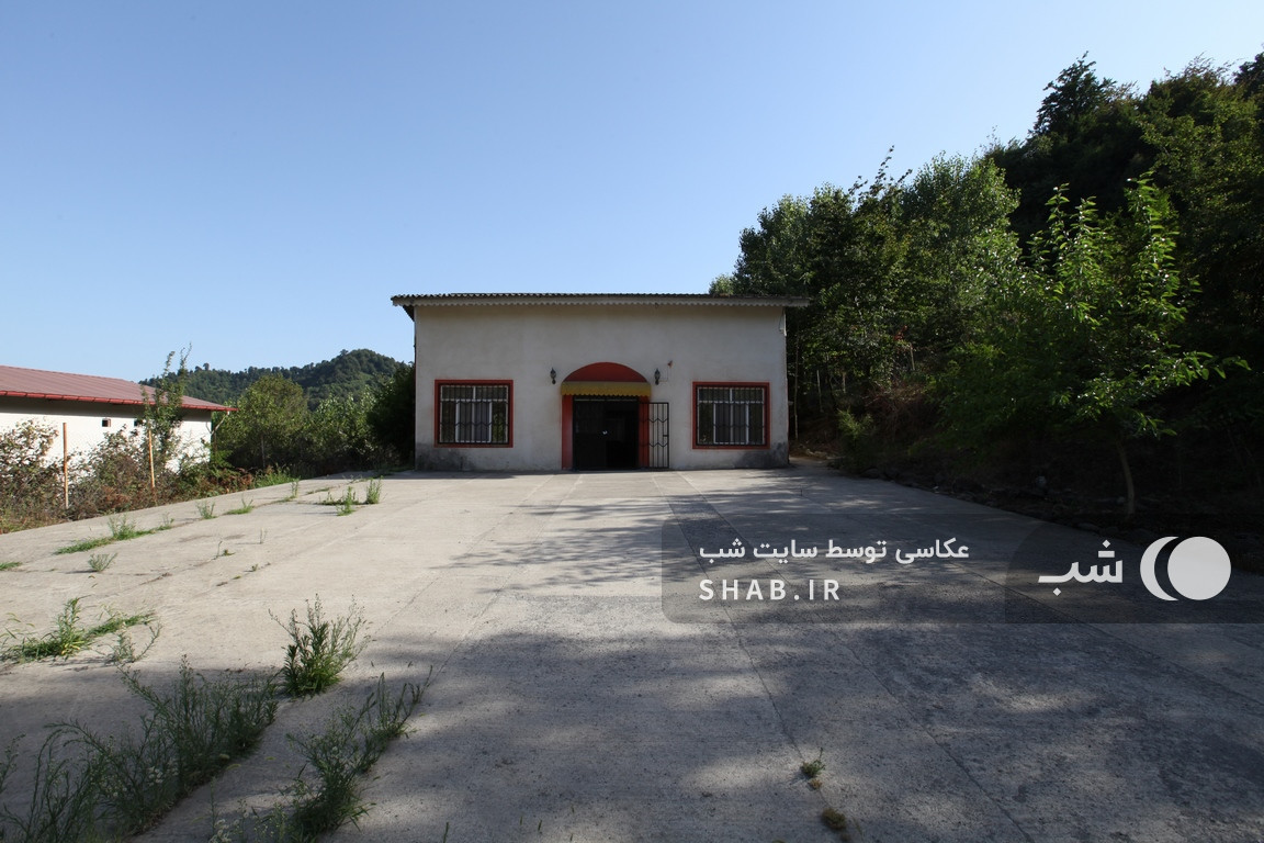 حیاط