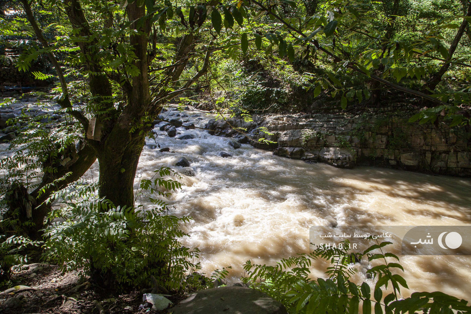 محوطه اقامتگاه محوطه اقامتگاه