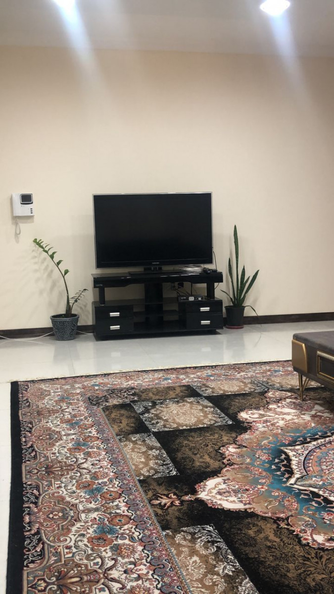 تلویزیون