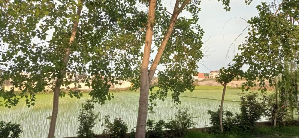 محوطه اطراف اقامتگاه