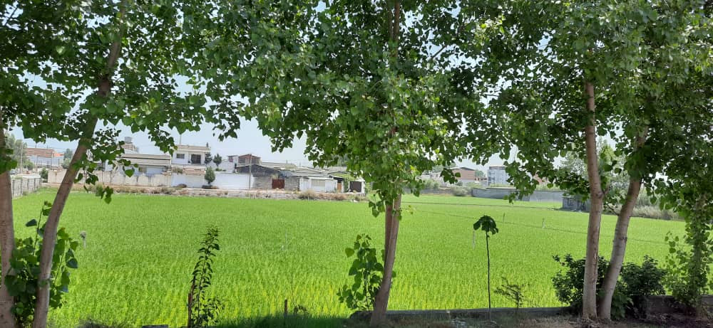 محوطه بیرون اقامتگاه