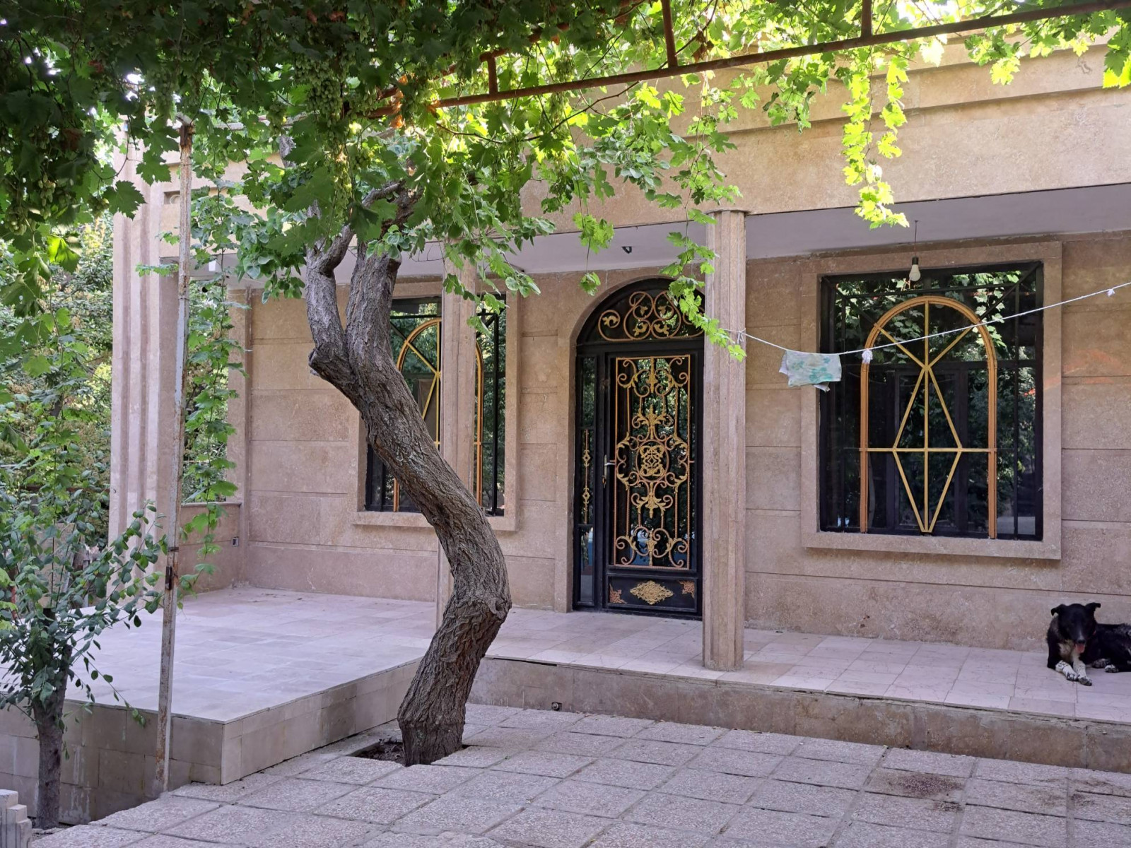 نمای ساختمان
