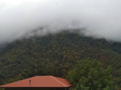 دو خواب جنگلی کوهستانی