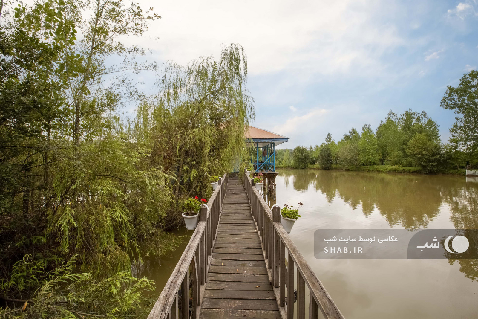 ویوی دریاچه ویوی دریاچه