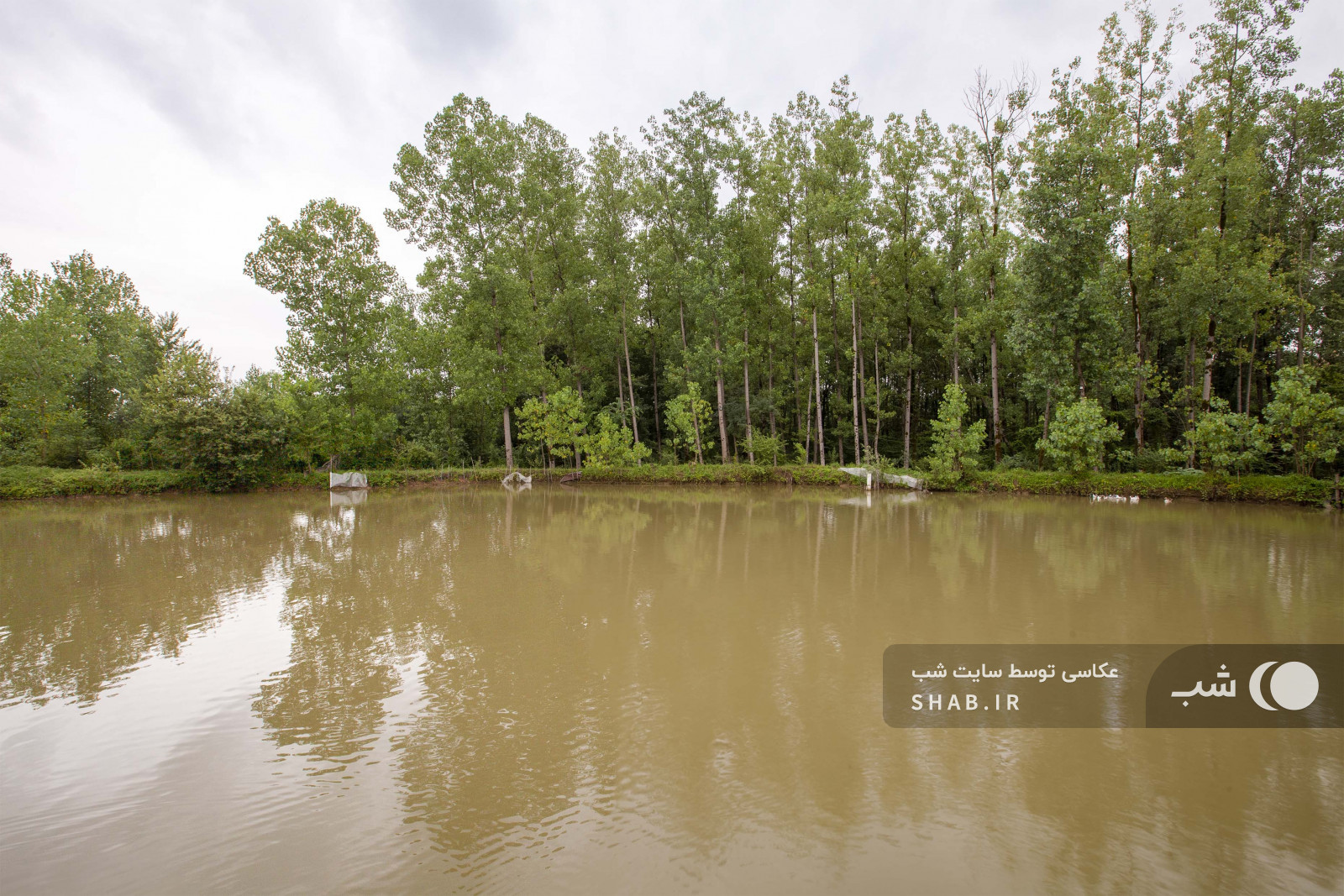 دریاچه دریاچه