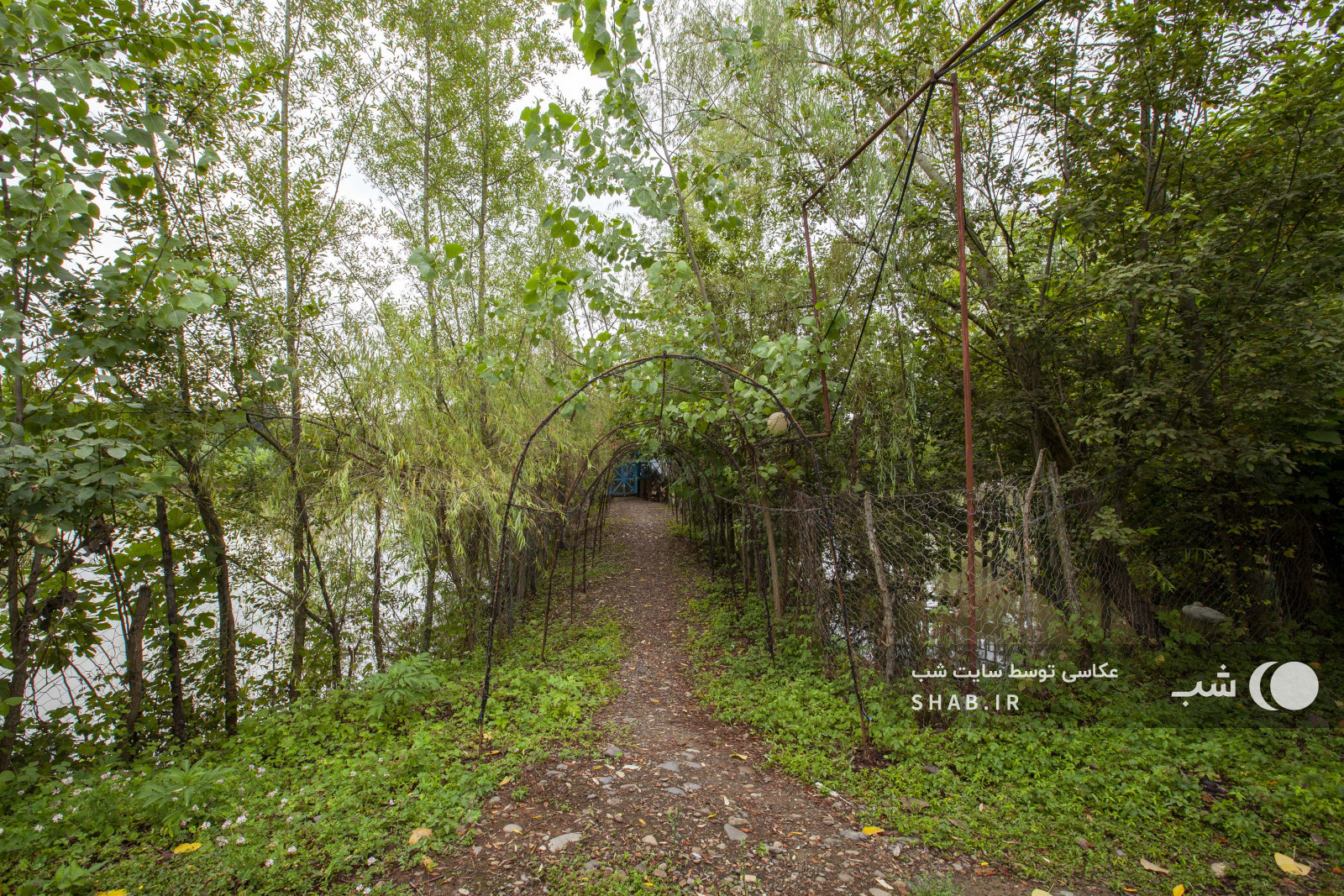 تونل نور تونل نور