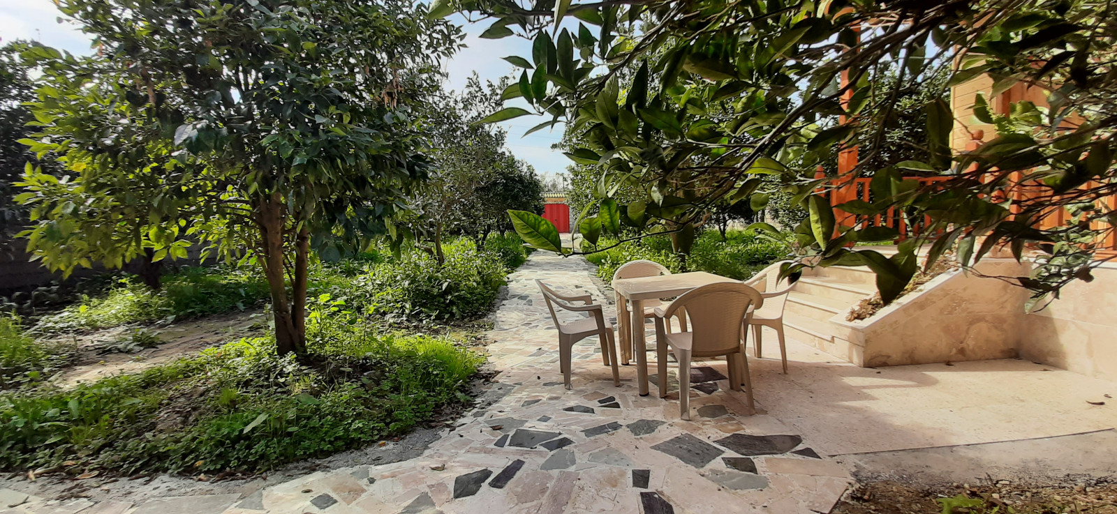 ویو بخشی از باغ ویو بخشی از باغ