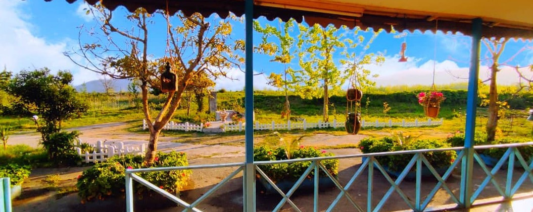 ویو تراس ویو تراس