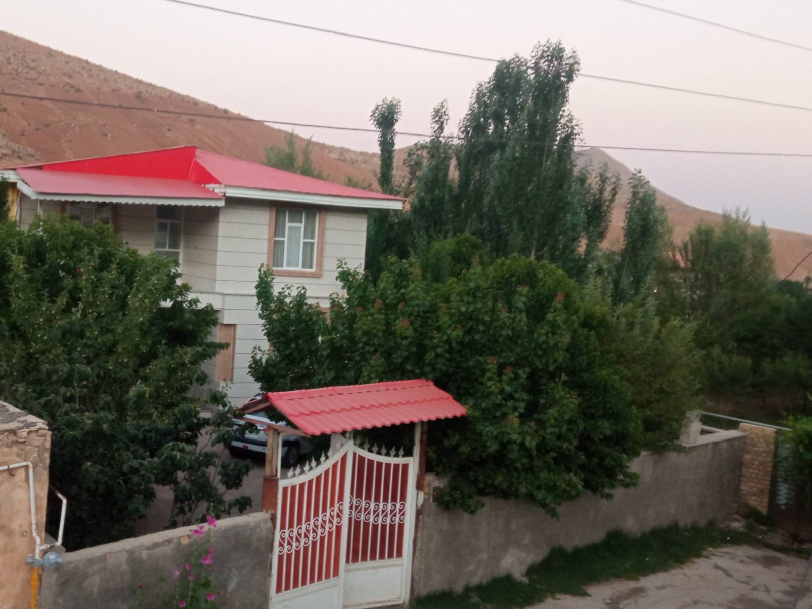 حیاط