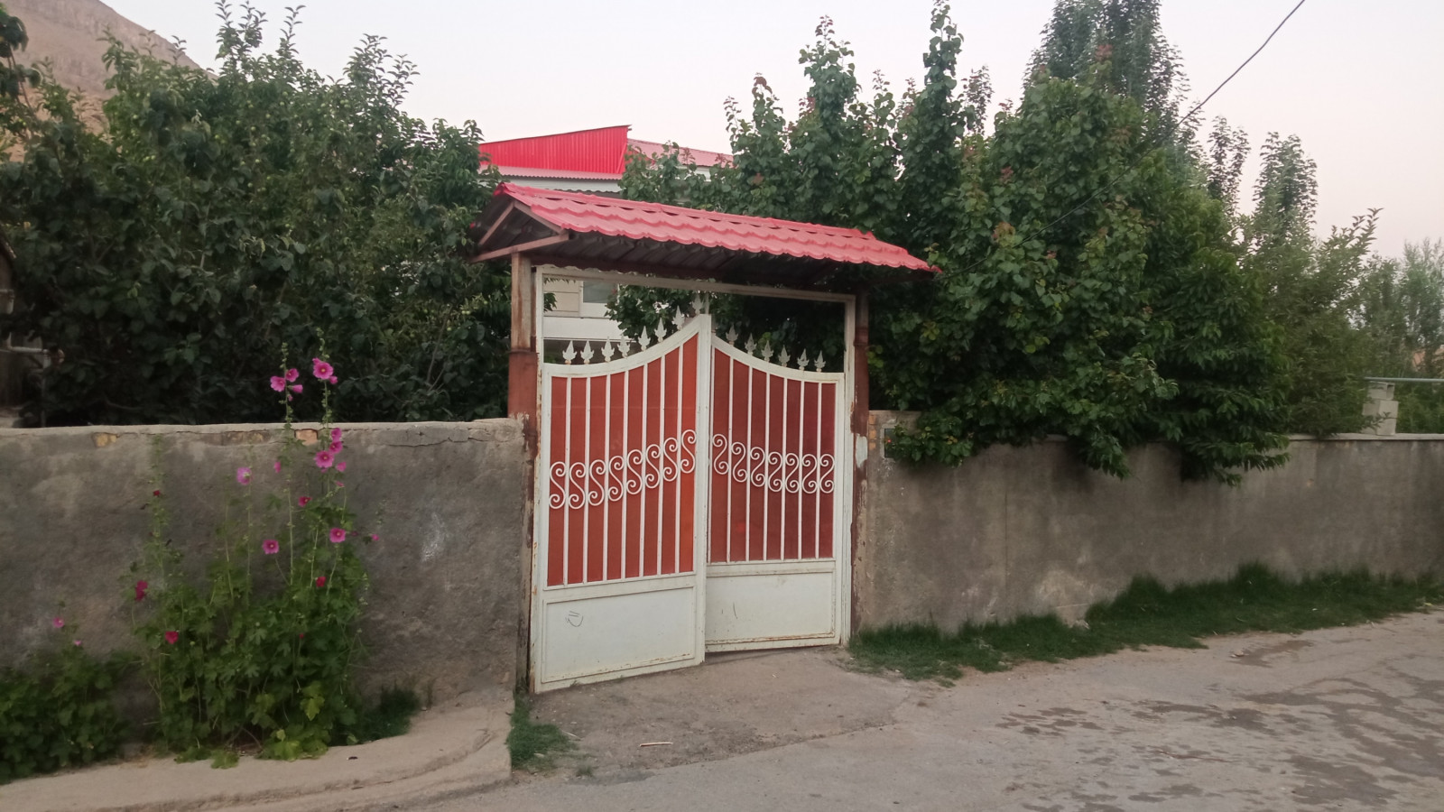 ورودی